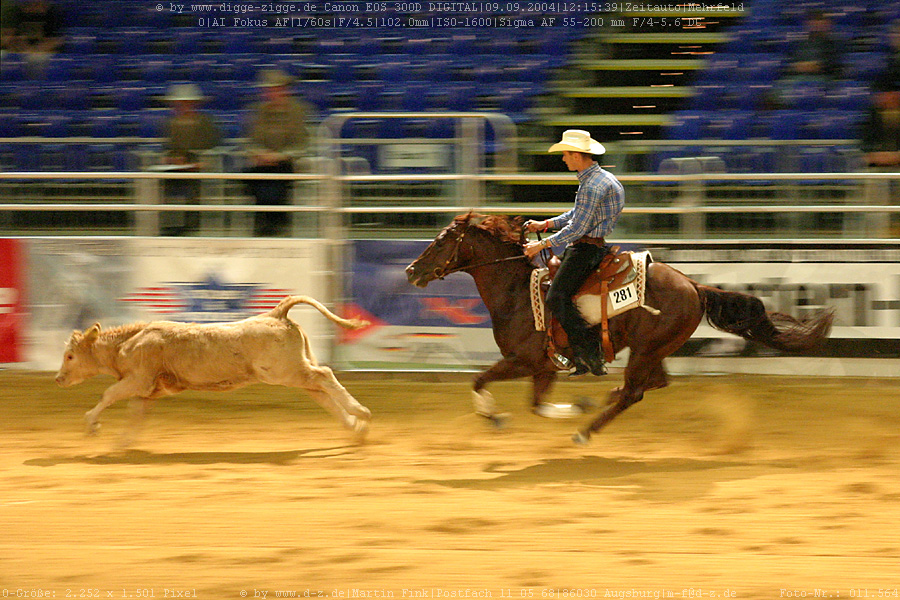 Working Cowhorse