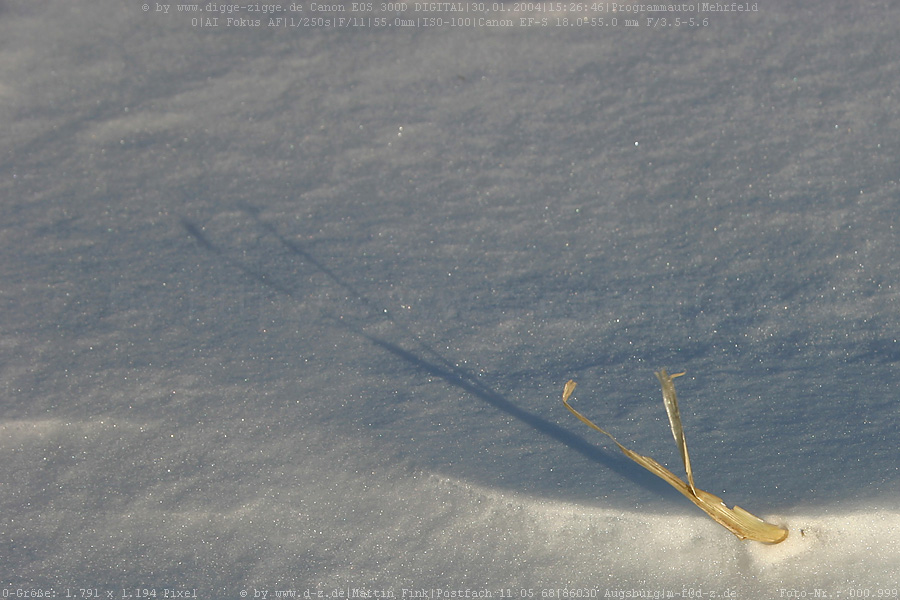 Strohhalm im Schnee