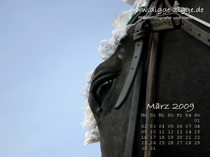 Pferde Desktop-Kalender Mrz 2009