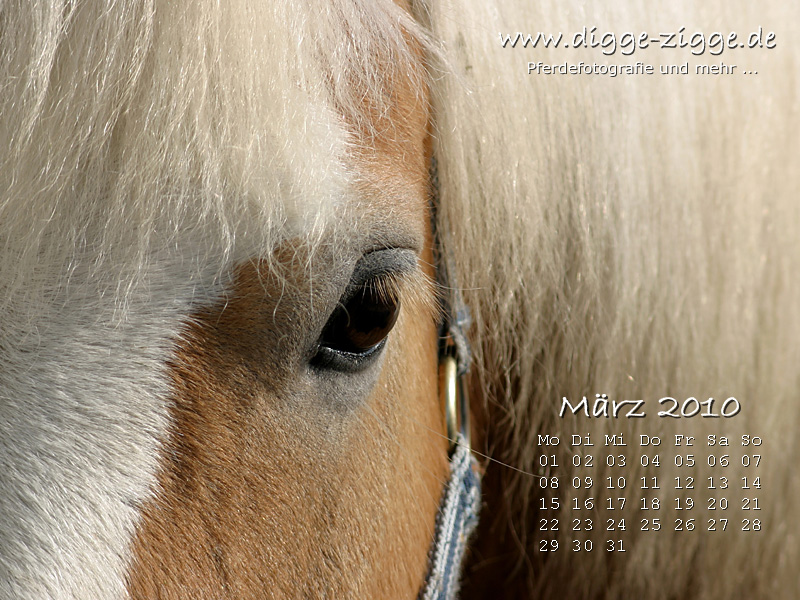 Pferde Desktop-Kalender Maerz 2010