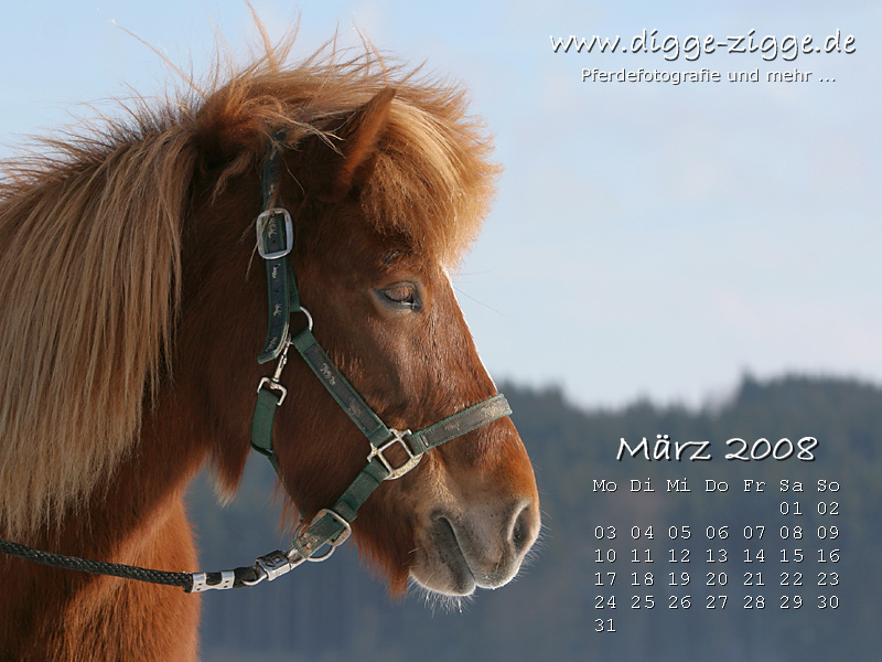 Desktop-Kalender März 2008