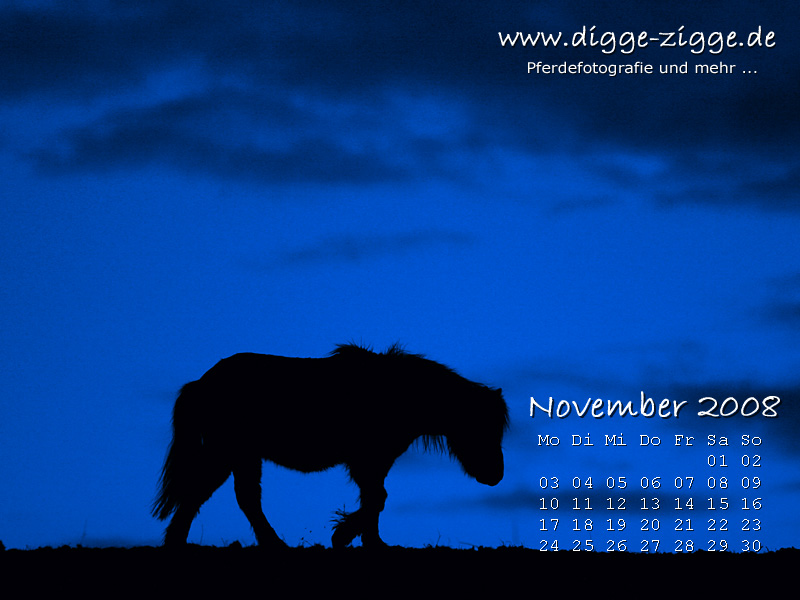 Pferde-Desktop-Kalender November 2008