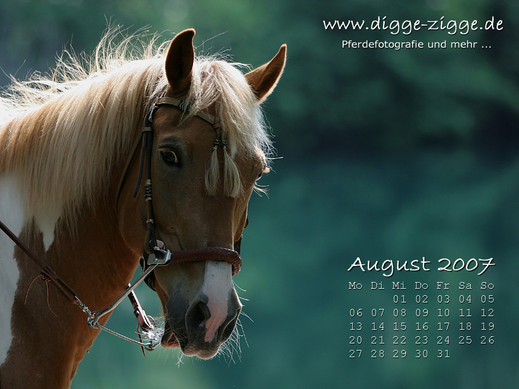Desktop-Kalender August 2007