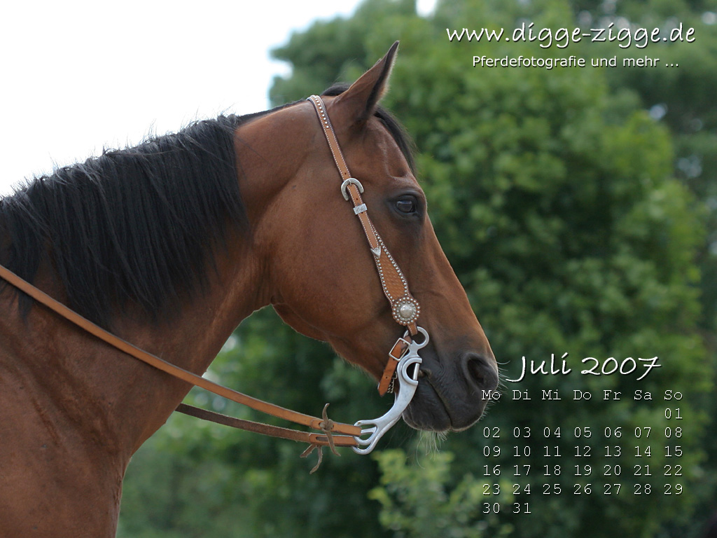 Desktop-Kalender Juli 2007