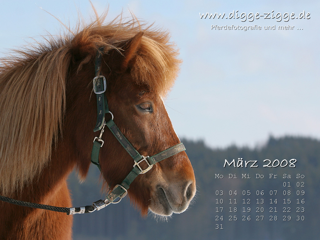 Desktop-Kalender März 2008