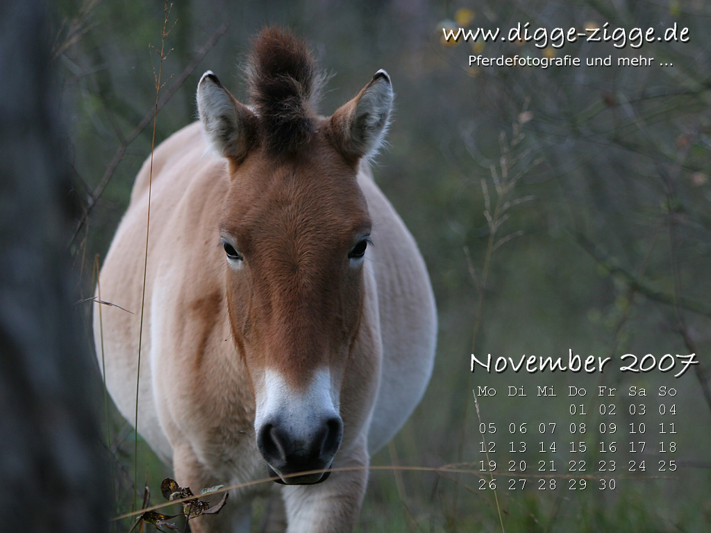 Desktop-Kalender November 2007