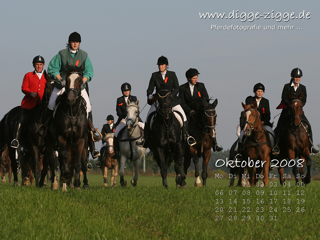 Pferde-Desktop-Kalender Oktober 2008