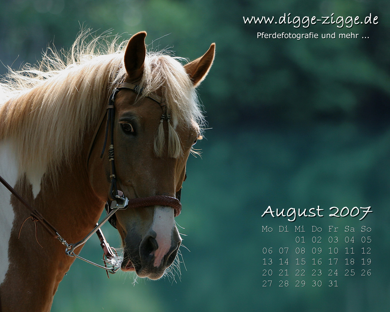 Desktop-Kalender August 2007