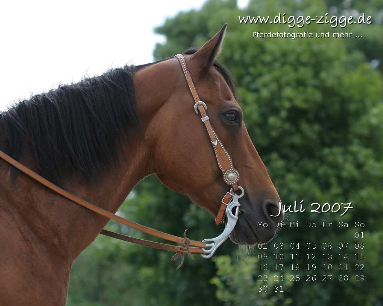 Desktop-Kalender Juli 2007