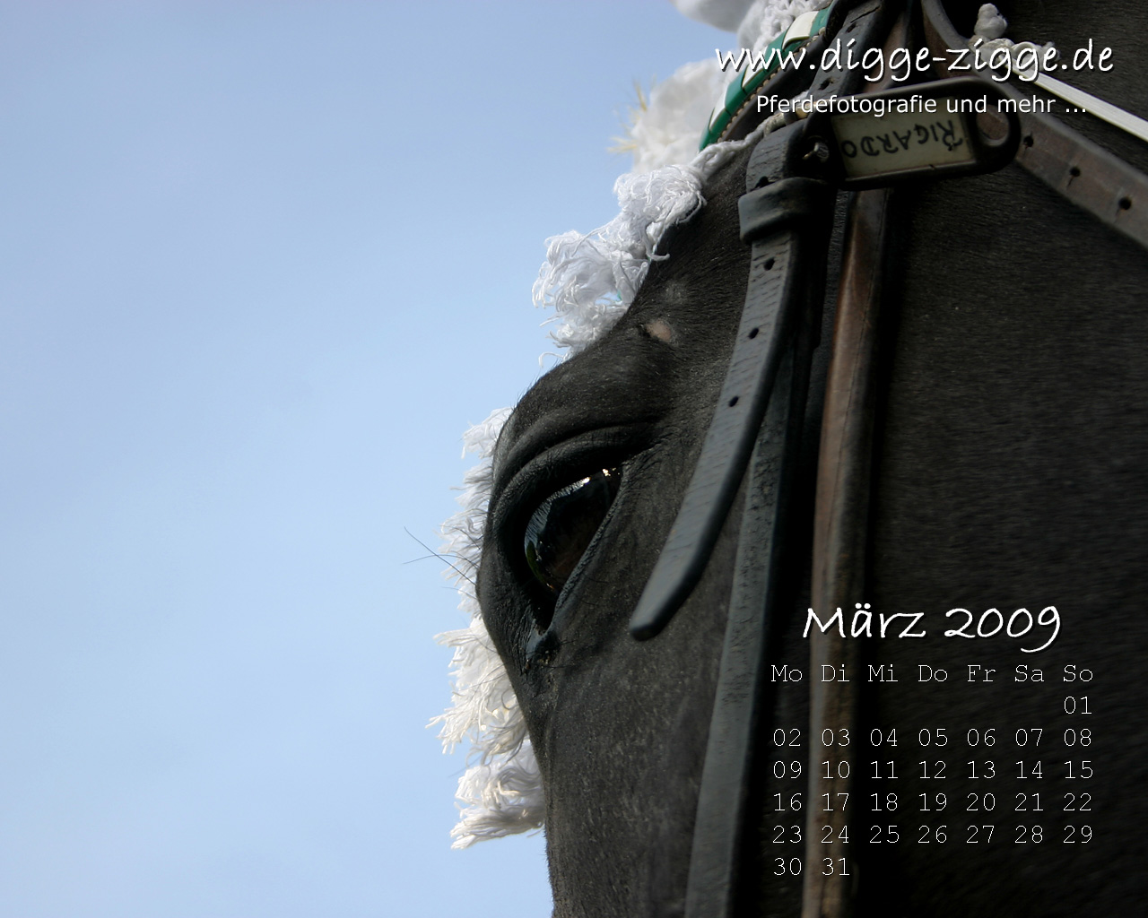 Pferde Desktop-Kalender M�rz 2009