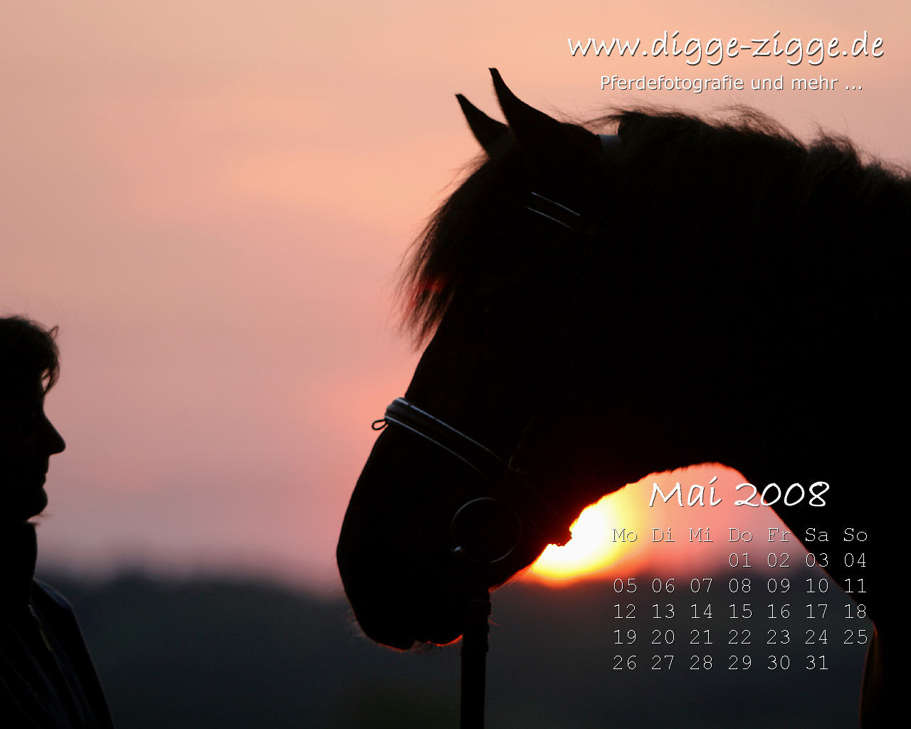 Pferde Desktop-Kalender Mai 2008