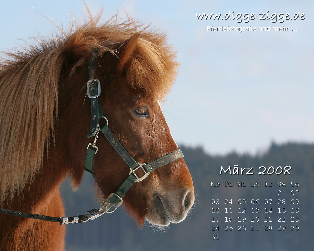 Desktop-Kalender März 2008