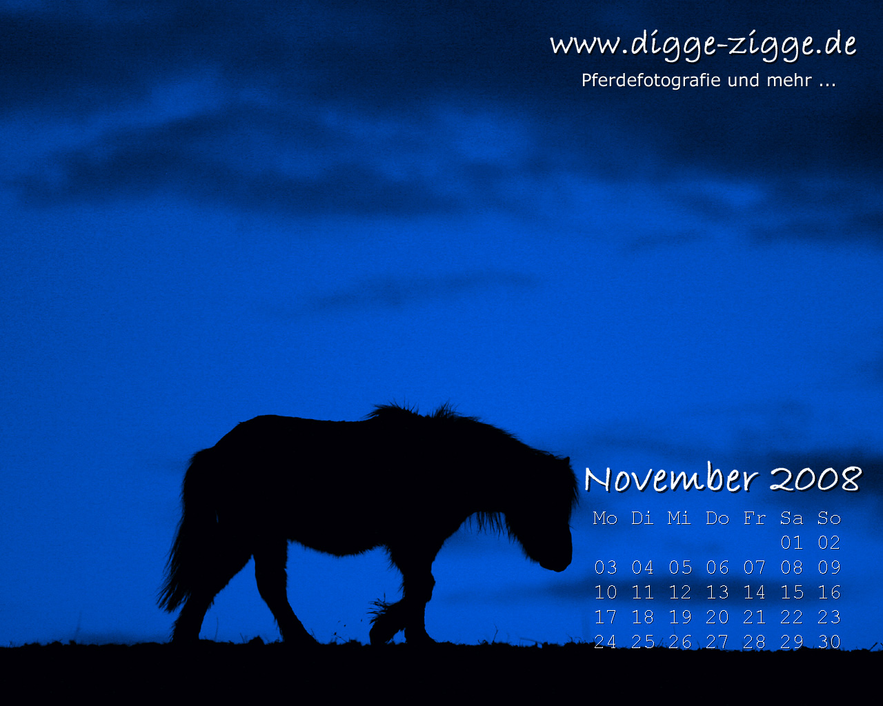 Pferde-Desktop-Kalender November 2008