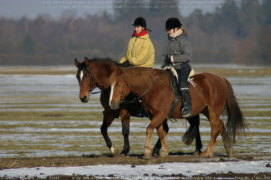 Ausritt im Winter II.