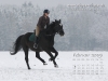 Pferde Desktop-Kalender Februar 2009