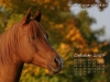 Desktop-Kalender Oktober 2007