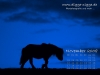 Pferde-Desktop-Kalender November 2008