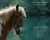 Desktop-Kalender August 2007