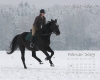 Pferde Desktop-Kalender Februar 2009