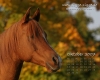 Desktop-Kalender Oktober 2007