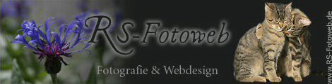 Homepage von Romy Schmid besuchen