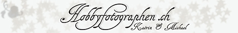 Homepage von Katrin Affolter besuchen