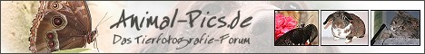 Tierfotografie-Forum besuchen