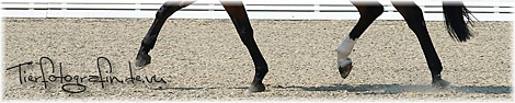 Homepage von Isabelle Knnecker besuchen