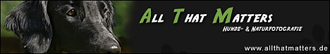 Homepage von Theresa Weber besuchen