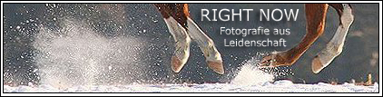 Homepage von Saskia Heckele besuchen