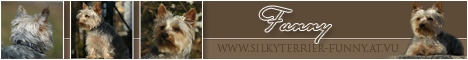 Homepage von Elisabeth Binder besuchen
