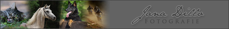 Homepage von Jana-Marena Dillo besuchen
