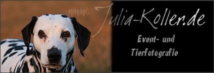Homepage von Julia Koller besuchen