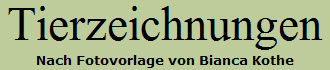 Homepage von Bianca Kothe besuchen