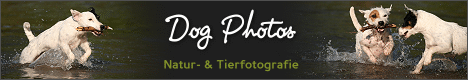 Homepage von Michle Spatschke besuchen