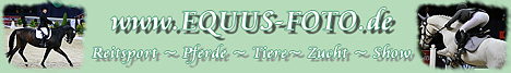 Homepage von Juliane Fellner besuchen