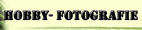 Homepage von Katrin Sophie Hammer besuchen
