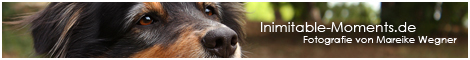Homepage von Mareike Wegner besuchen