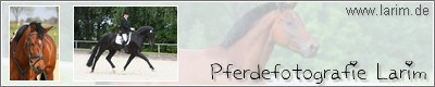 Homepage von Kim Ende besuchen
