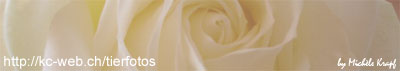 Homepage von Michle Krapf besuchen