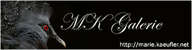 Homepage von Marie Kufler besuchen