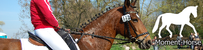Homepage von Janin Reinicke besuchen