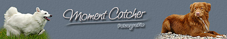 Homepage von Britta Gerken besuchen