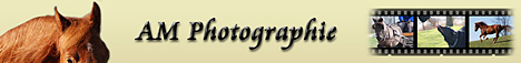 Homepage von Alina Mutti besuchen