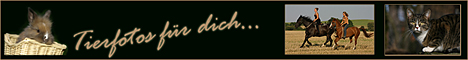 Homepage von Patricia Mller besuchen