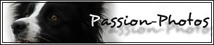Homepage von Jessica Faustus besuchen