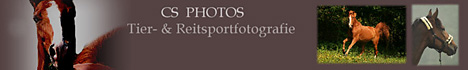 Homepage von Christine Schramm besuchen