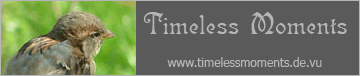 Homepage von Denise Trster besuchen