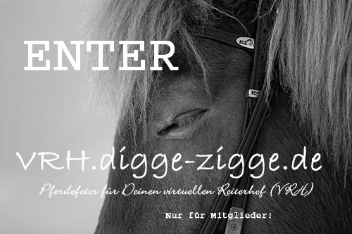 Herzlich Willkommen bei VRH.digge-zigge.de!